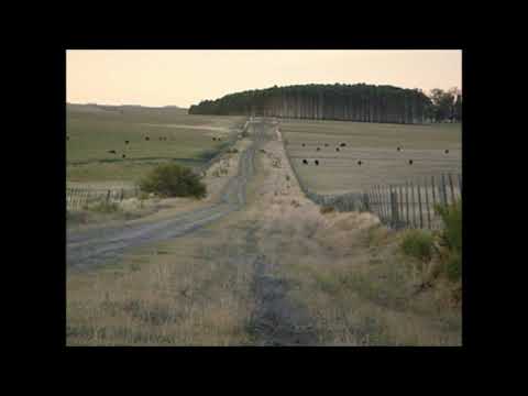 Radio Fénix - Mov. de los Comunes - Bancarización Obligatoria