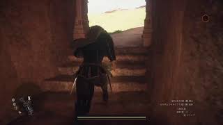 Dragon's Dogma2眠いからすこし