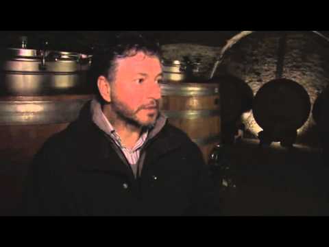 S1_C2.2 - Loimer's White Winemaking Process_Maturation