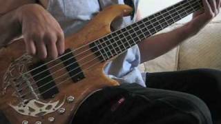 Video thumbnail for Traben Array Limited 5 Bass by universalrenote