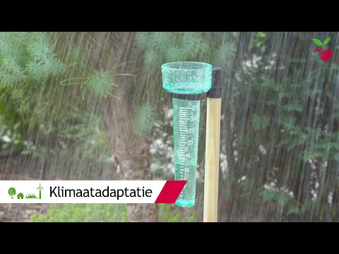 Klimaatadaptatie: zo bereid je je voor op extremere weersomstandigheden | Gemeente Lansingerland