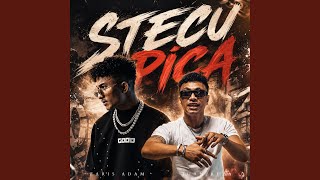 Download lagu STECU PICA mp3 Download lagu STECU PICA mp3
