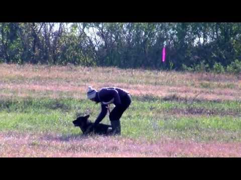 2013WUSV Selection Miran von Kyoto Masuda A98