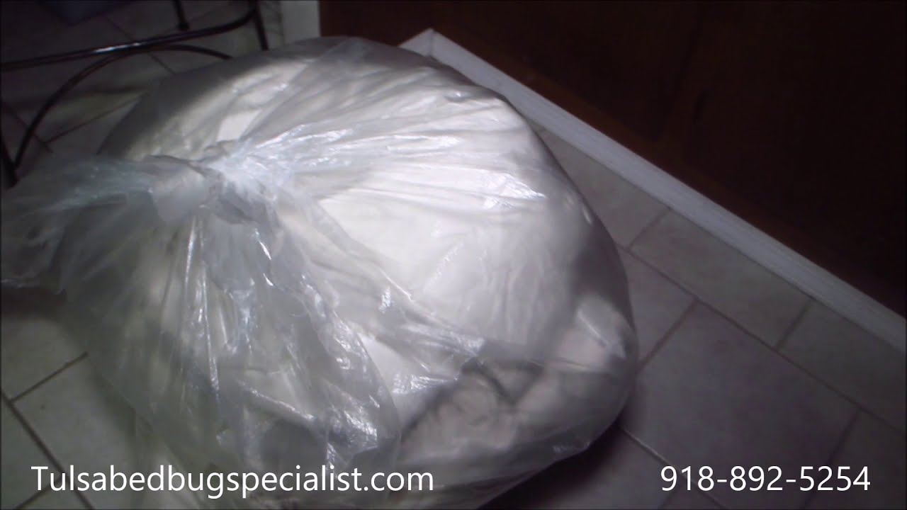 Bed Bug Preparation instruction  || Tulsa Bed Bug Specialist