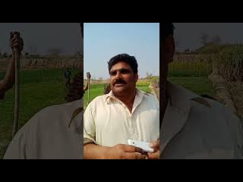 Mukhtar Toka Talking About Dogs