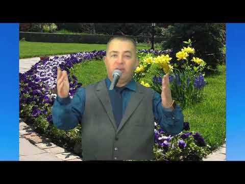 KUR DALIN VAJZAT NE VALLE