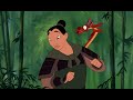 Mulan Dishonor On You