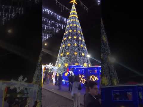 cota Cundinamarca colombia..