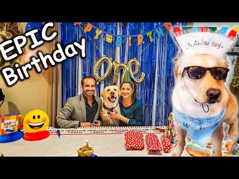 YouTube video about: What to do for your dog's birthday?