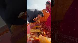 Download lagu The biggest Manchurian in the world! 😱 mp3 Download lagu The biggest Manchurian in the world! 😱 mp3