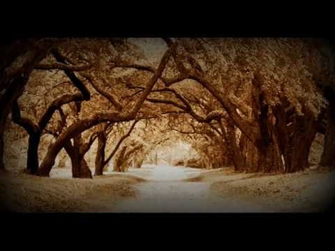 Voy A Buscarte - Iván Noble