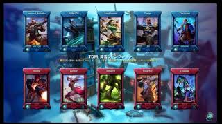 【PALADINS】ニコニコ生放送のアーカイブ