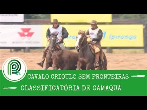 Confira um compacto da Classificatória de Camaquã ao Freio de Ouro