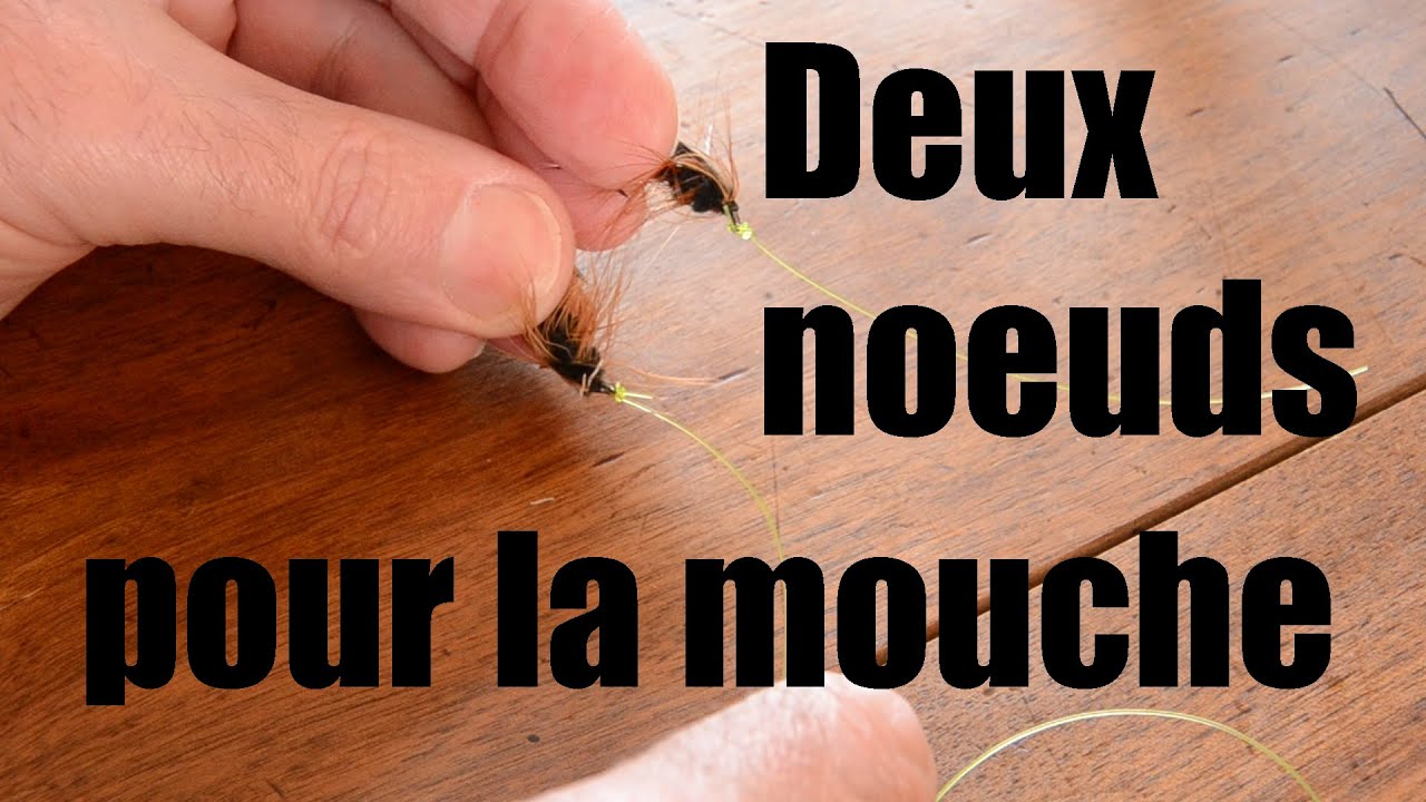 Noeuds pour la mouche
