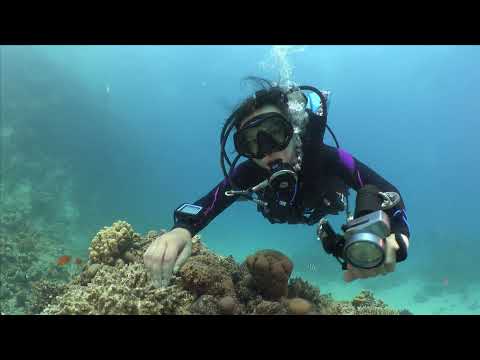 Single Cylinder Systems | Halcyon Dive Systems