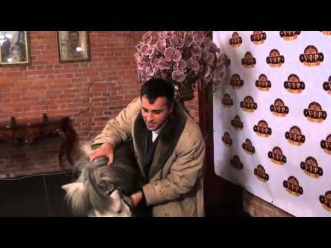 Kaip Radži Kaune šventė kinų naujuosius metus