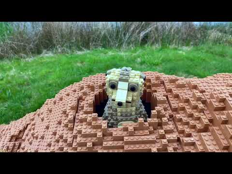 ZooParc Overloon Bricks expositie