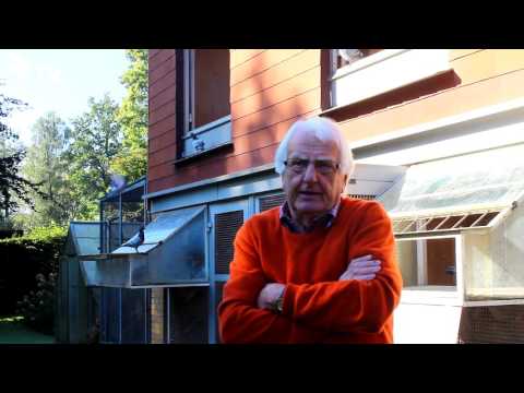 Wolfgang Roeper Interview Part 17/26 Zuchttauben paaren (Brieftauben)