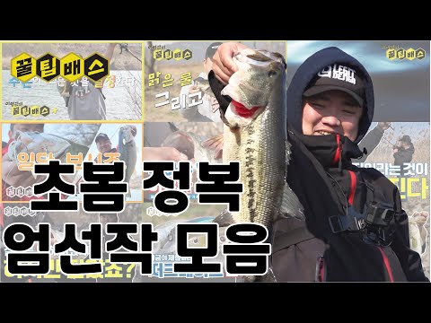 꿀팁배스 설특집 초봄 정복 엄선작
