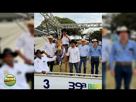 Animais do criatório do Haras Santos Reis, de Rio Maria (PA), se destacam na 39a Enapêga