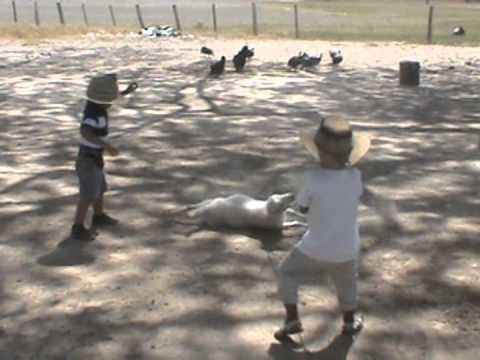 ASDRUBAL CABRERA EL CANTACLARO DEL RIO