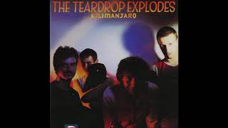 The Teardrop Explodes - Treason