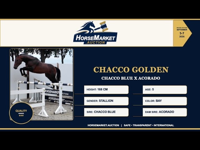 Chacco Golden