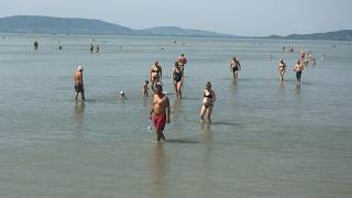 Apadó Balaton