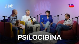 Download lagu La Botta. Ep.4: psilocibina e microdosing mp3