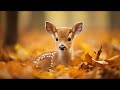 Nearer My God to Thee  (Instrumental) - Traditional Beautiful Hymn - Arranged by Tim Janis