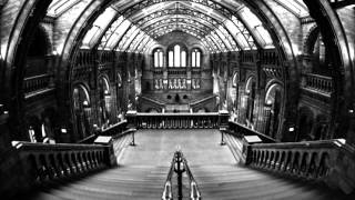 Ghinzu - The Dragster-Wave