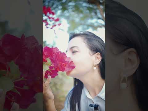 Área de 15 hectares  - Ideal para Loteamento, Construção de galpões comerciais ou industriais