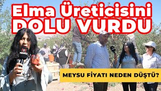 Elma Üreticisini Dolu Vurdu | Meysu Fiyatı Bir Günde Nasıl Düştü?