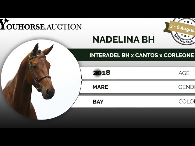 Nadelina showvideo