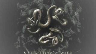 Meshuggah - Dehumanization