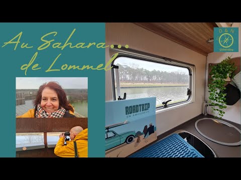 #5-FR 🇧🇪Dans le Sahara en Belgique... le Sahara de Lommel en camping-car