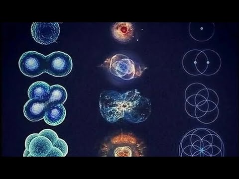 Verified, useful? Let bass approve. If it makes me better, then it's real..i move (calm is a system)