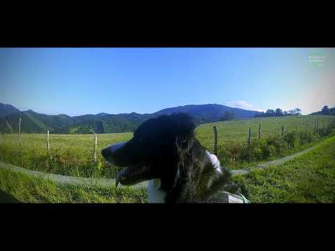 II Sodupe Mendi Jaia - Laister / Próximamente... 25/10/2015