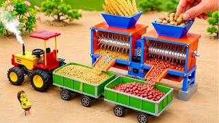 DIY Mini Tractor Corn & Peanut Separator 🌽🥜 Farm Storage Rescue | HP Mini