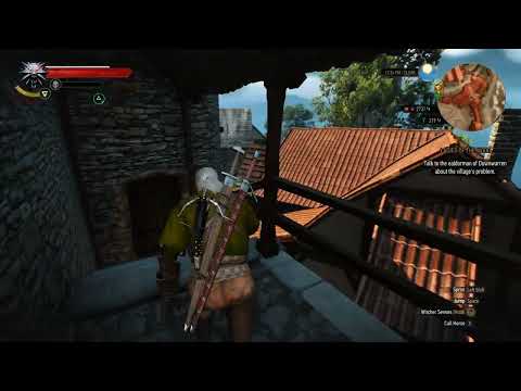 320 Let's play a bit of The Witcher 3 Wild Hunt