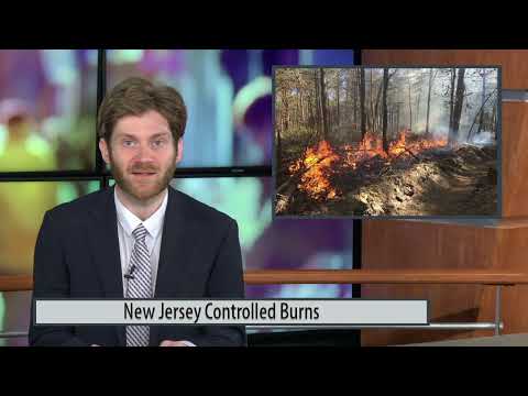NJ Controlled Burns
