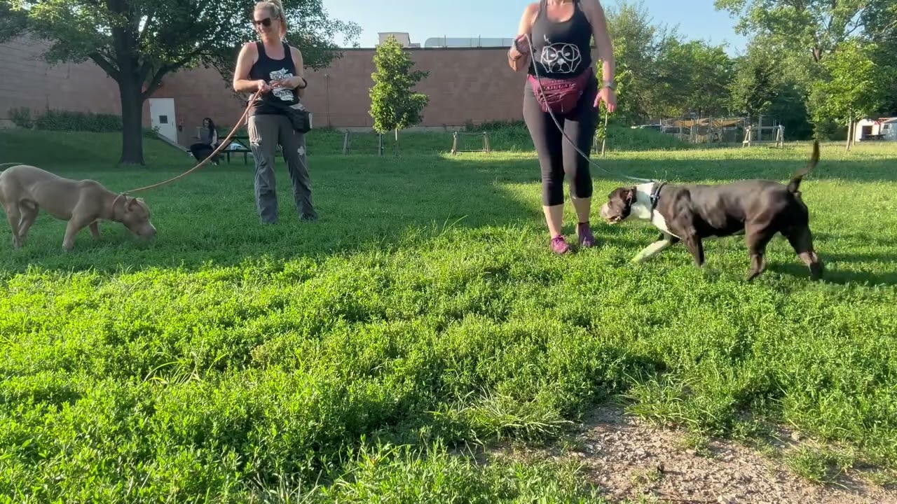 Acrobat's Leash Test