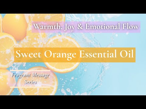 Sweet Orange Essential Oil (Aromatics International) — Warmth, Joy & Emotional Flow