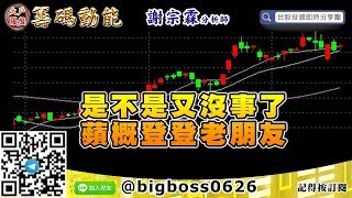 【大戶羅盤籌碼動能】 #謝宗霖0616，是不是又沒事了 蘋概登登老朋友 (圖)