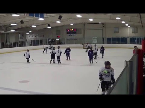 20160116 DCYH Wildcats Pee Wee B vs Red Wing