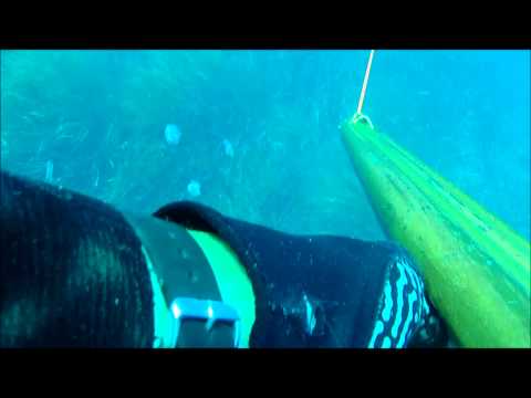 Pesca in apnea: Ricciola 9 kg