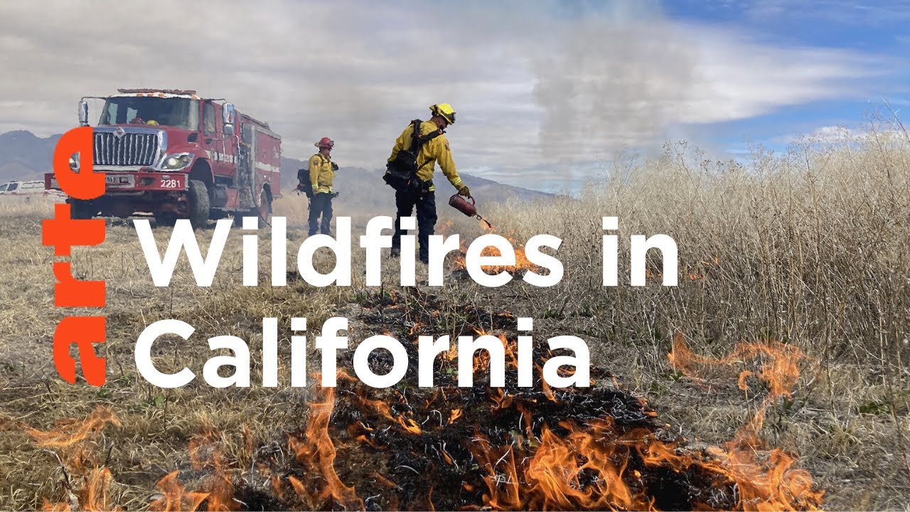 California: Fighting Fire with Fire