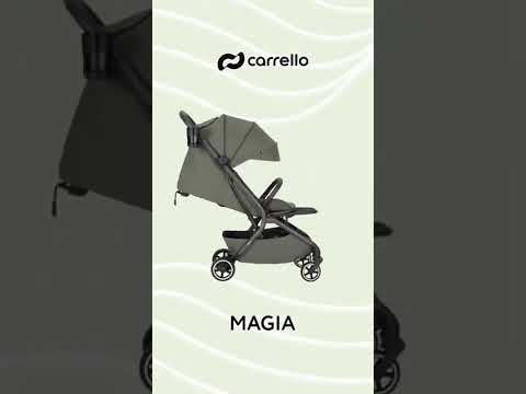 Прогулянкова коляска CARRELLO Magia CRL-5555 Glace pink /1/