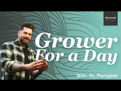 GROWER FOR A DAY - Episode 3  ( With: Mr. Plant Geek )
