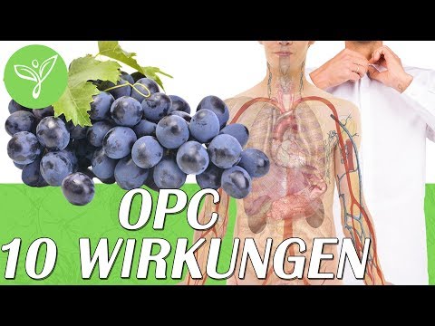 Schau was OPC Traubenkernextrakt in Deinem Körper bewirken kann...